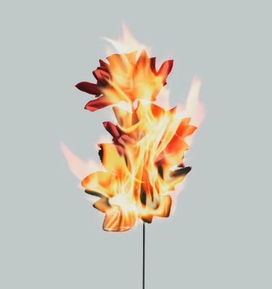 Fire flower image from freepik.com